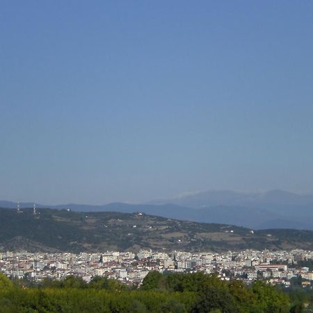 Veriopolis Hotel Veria  Bagian luar foto