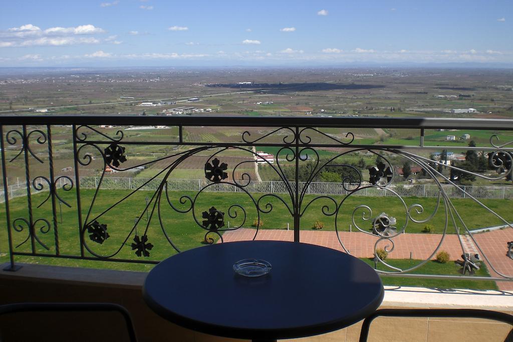 Veriopolis Hotel Veria  Bagian luar foto